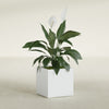 Montroy Medium Cube Square Fiberglass Planter - 20 in x 20 in x 20 in - Gloss White - Gloss White,20 in x 20 in x 20 in