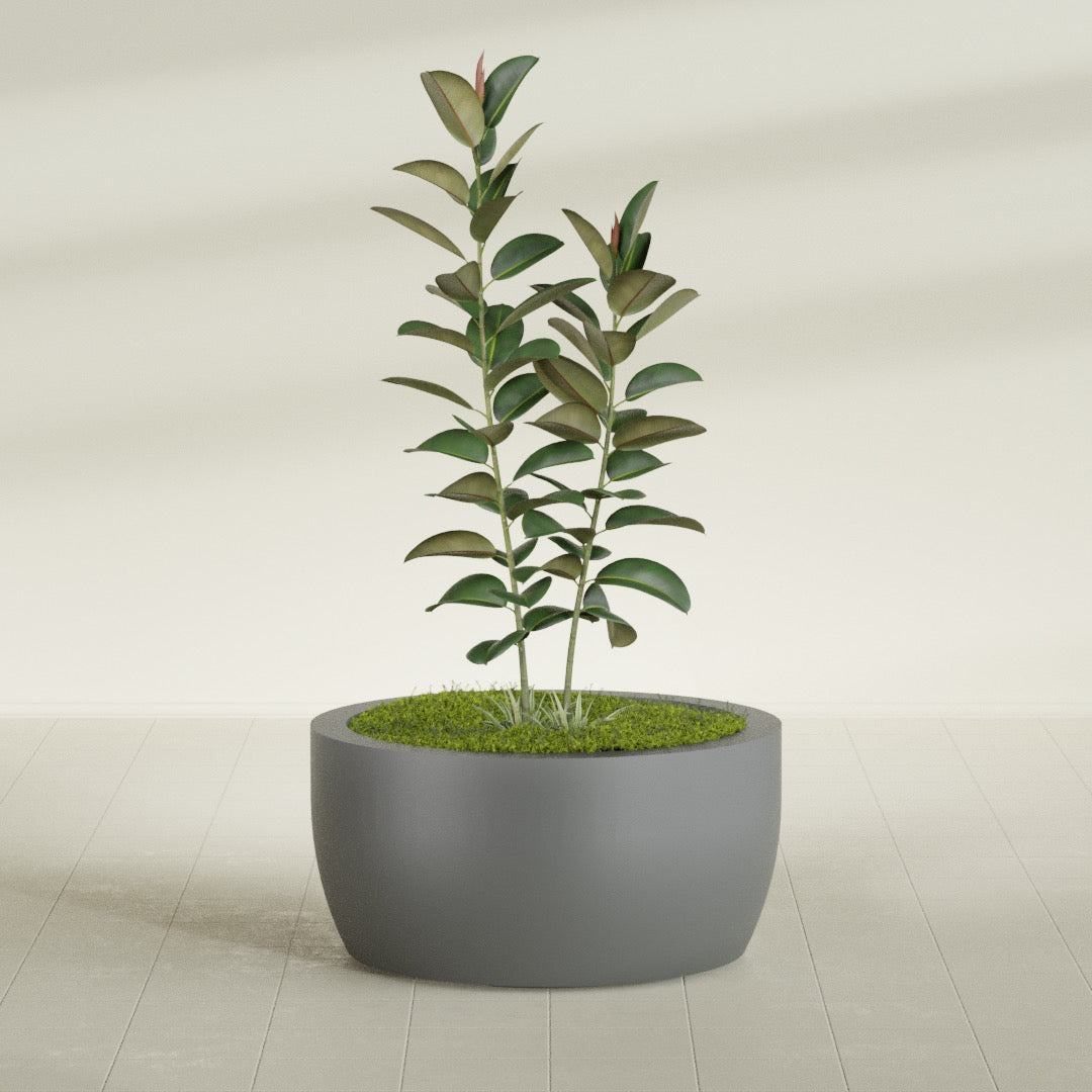 Casablanca Large Round Low Bowl Fiberglass Planter - 36 in x 36 in x 18 in - Metallic Gunmetal - Metallic Gunmetal,36 in x 36 in x 18 in