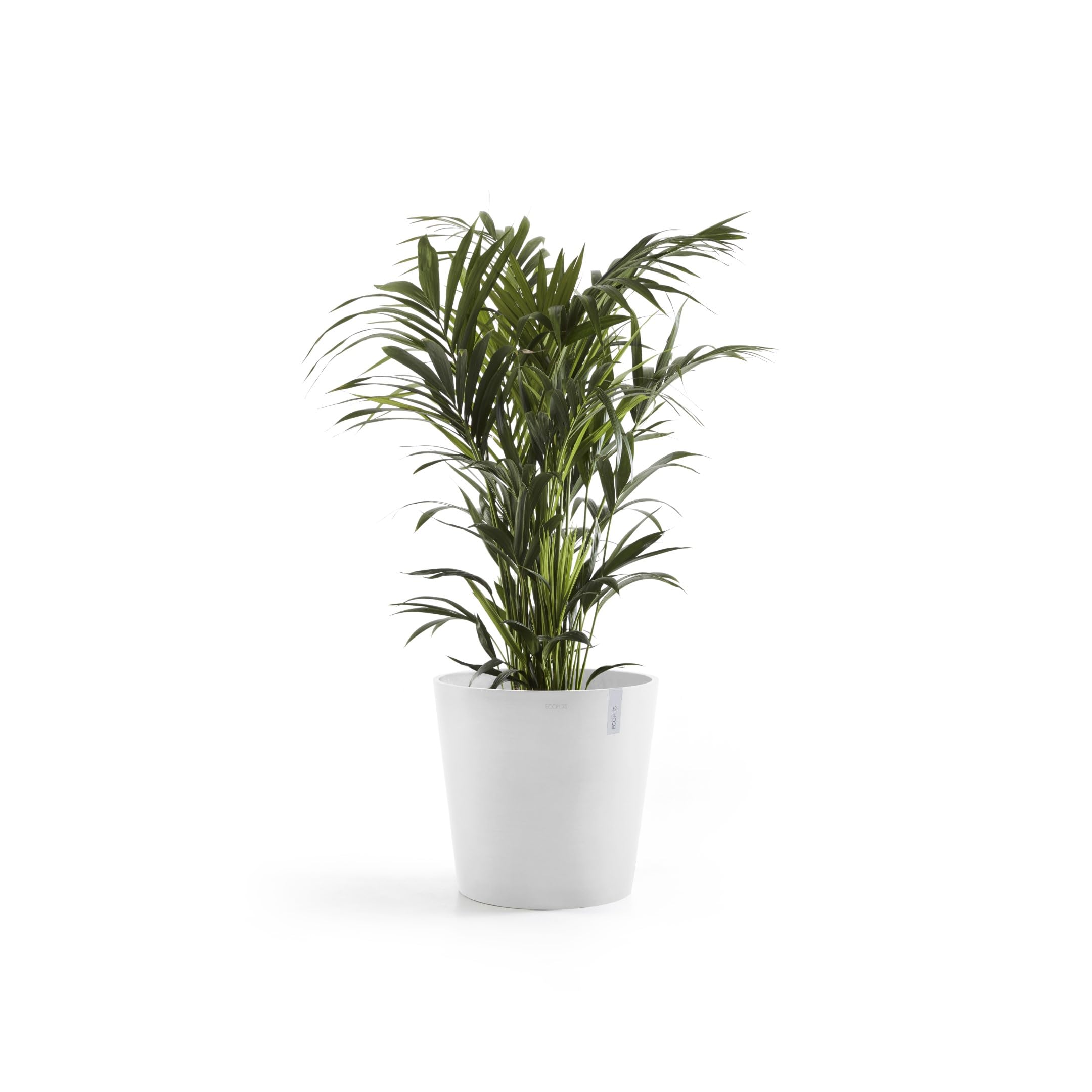 Amsterdam Medium Round Planter - 19.8 in x 19.8 in x 17.3 in - Pure White - Pure White,19.75 in x 19.75 in x 17.25 in,Planter Only
