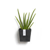Manhattan Small Rectangle Wall Planter - 6 in x 6.75 in x 6 in - Dark Grey - Dark Grey,6 in x 6.75 in x 6 in