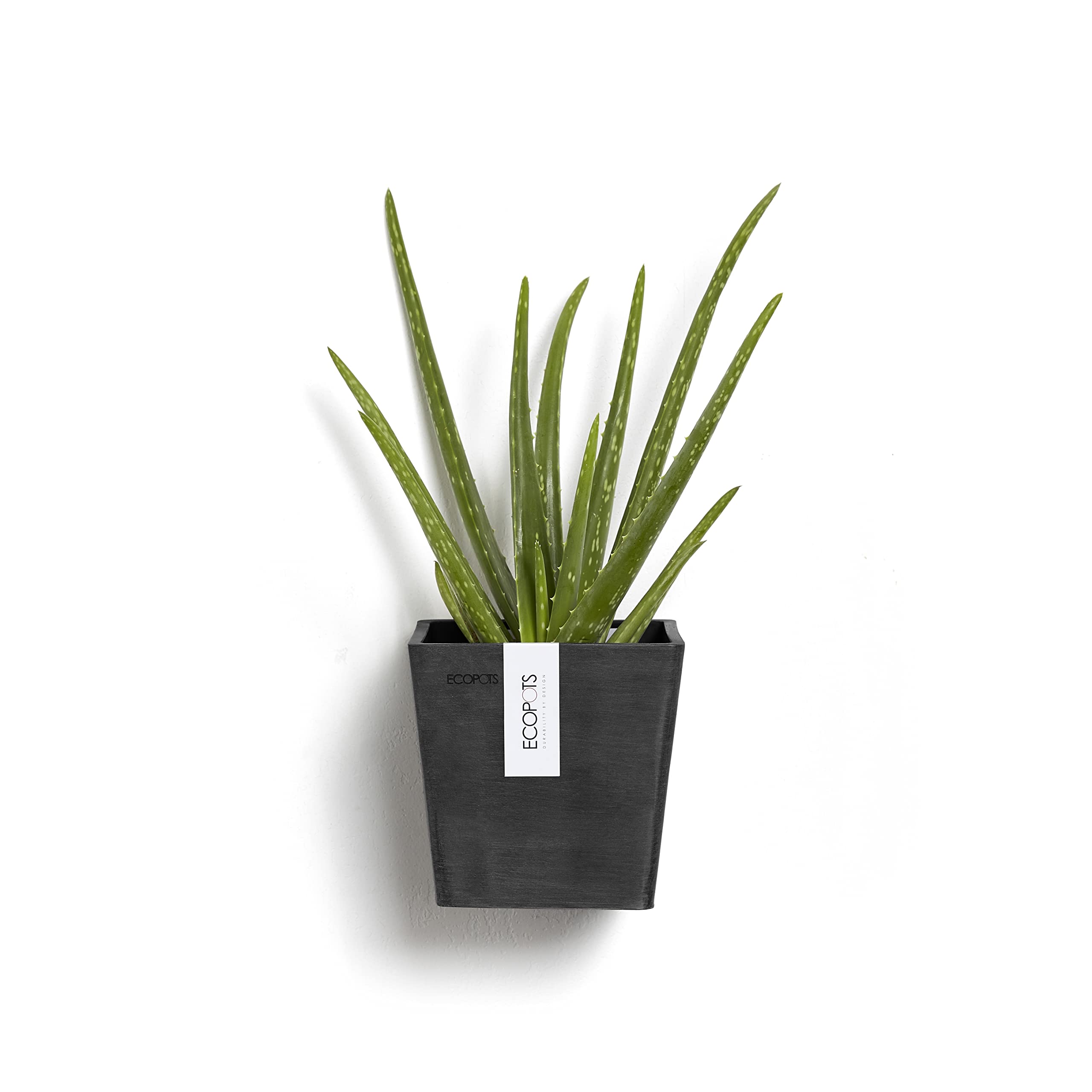 Manhattan Small Rectangle Wall Planter - 6 in x 6.75 in x 6 in - Dark Grey - Dark Grey,6 in x 6.75 in x 6 in