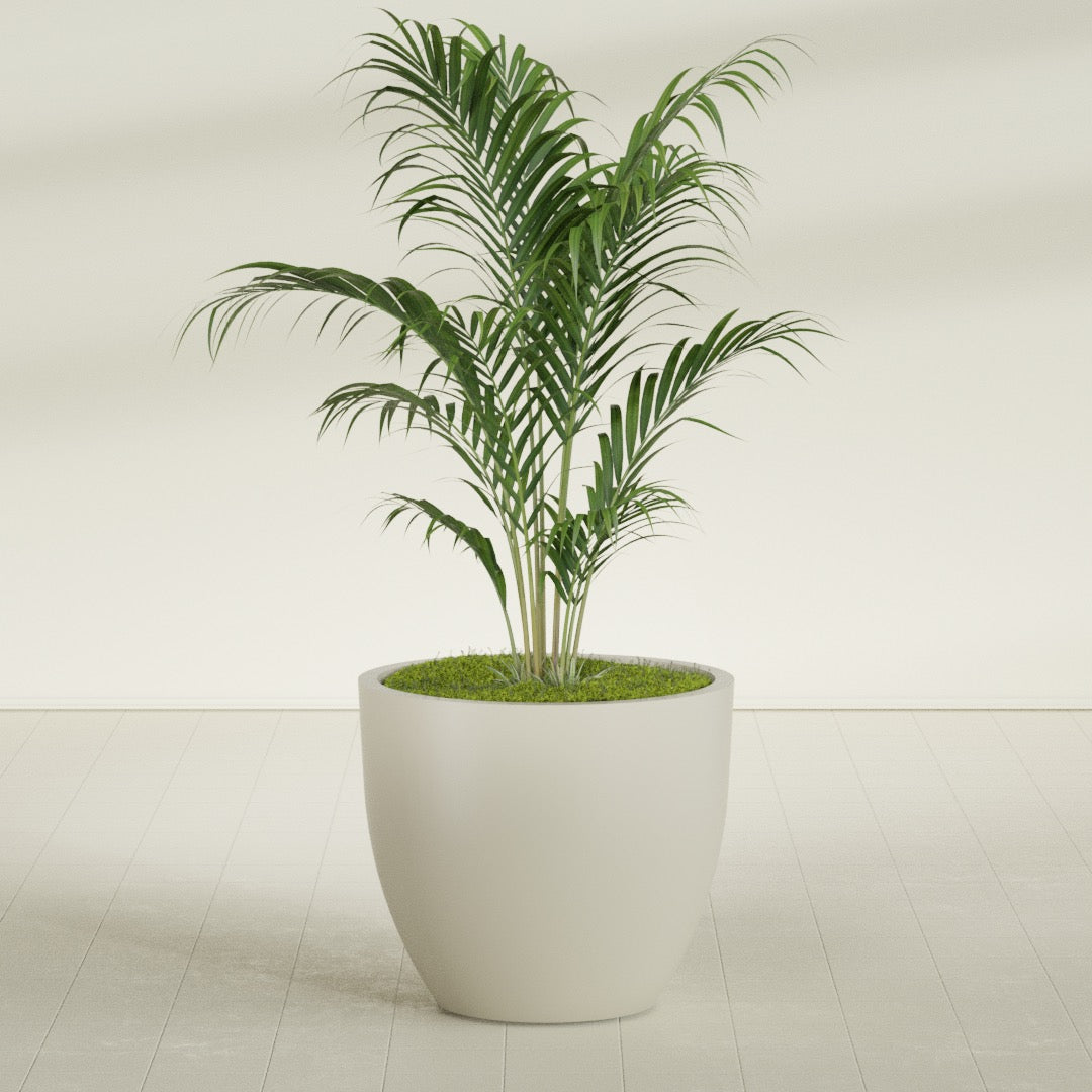 Wannsee Large Round Fiberglass Planter - 39 in x 39 in x 34 in - Satin Beige - Satin Beige,39 in x 39 in x 34 in