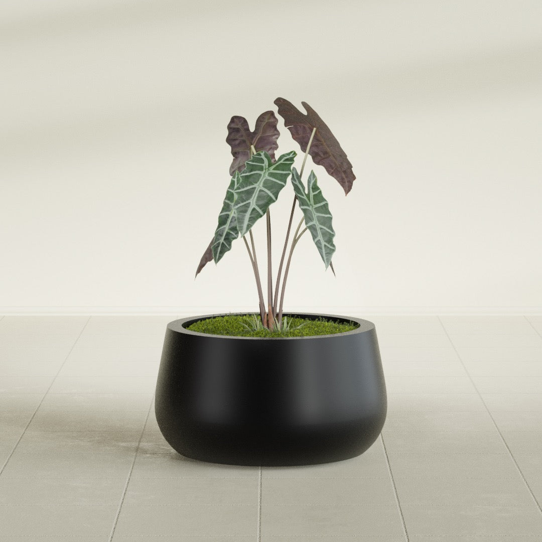 Short Hayden Small Round Fiberglass Planter - 16 in x 16 in x 8 in - Matte Black - Matte Black,16 in x 16 in x 8 in
