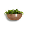 Sofia Wall Small Conical Wall Planter - 16.5 in x 10 in x 7 in - Terracotta - Terracotta,16.5 in x 16.5 in x 7 in
