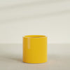 Rio Grande Medium Round Fiberglass Planter - 22 in x 22 in x 22 in - Gloss Saffron - Gloss Saffron,22 in x 22 in x 22 in