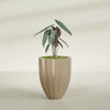 Alicante Medium Round Fiberglass Planter - 22 in x 22 in x 27 in - Metallic Gold - Metallic Gold,22 in x 22 in x 27 in