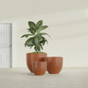 Alzira Medium Round Fiberglass Planter - 23 in x 23 in x 22 in - Matte Terracotta - Matte Terracotta,23 in x 23 in x 22 in