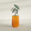 Tall Hayden Medium Round Fiberglass Planter - 12 in x 12 in x 20 in - Gloss Tangerine - Gloss Tangerine,12 in x 12 in x 20 in