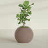 Globe - 30in diam. x 24in - StoneLight - Sunstone - StoneLight - Sunstone,30 in x 30 in x 25 in