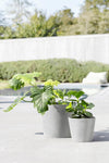 Amsterdam Medium Round Planter with Wheels - 23.5 in x 23.5 in x 22 in - White Grey - White Grey,23.5 in x 23.5 in x 22 in