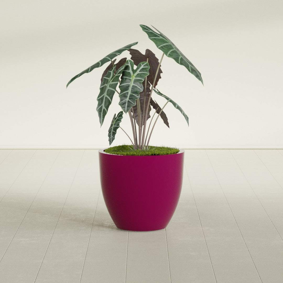 Wannsee Medium Round Fiberglass Planter - 27 in x 27 in x 24 in - Gloss Eggplant - Gloss Eggplant,27 in x 27 in x 24 in
