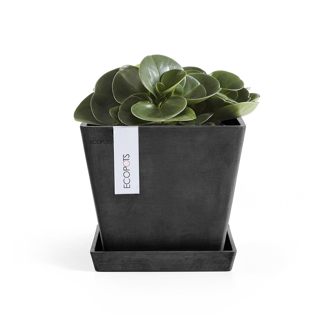 Small Square Saucer - 11 in x 11 in x 1.25 in - Dark Grey - Dark Grey,11 in x 11 in x 1.25 in