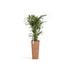 Rotterdam High Medium Square Planter - 12.6 in x 12.6 in x 27.5 in - Terracotta - Terracotta,12.5 in x 12.5 in x 27.5 in,Planter Only