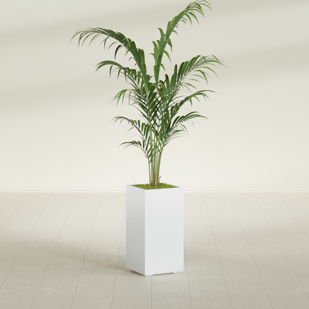 Potsdam Large Tall Rectangle Fiberglass Planter - 16 in x 16 in x 32 in - Gloss White - Gloss White,16 in x 16 in x 32 in