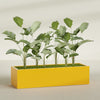 Torino Extra Large Wide Rectangle Fiberglass Planter - 72 in x 24 in x 18 in - Gloss Saffron - Gloss Saffron,72 in x 24 in x 18 in