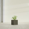 Monaco Square - 7in x 7in x 7 - Matte Bronze - Matte Bronze,7 in x 7 in x 7 in