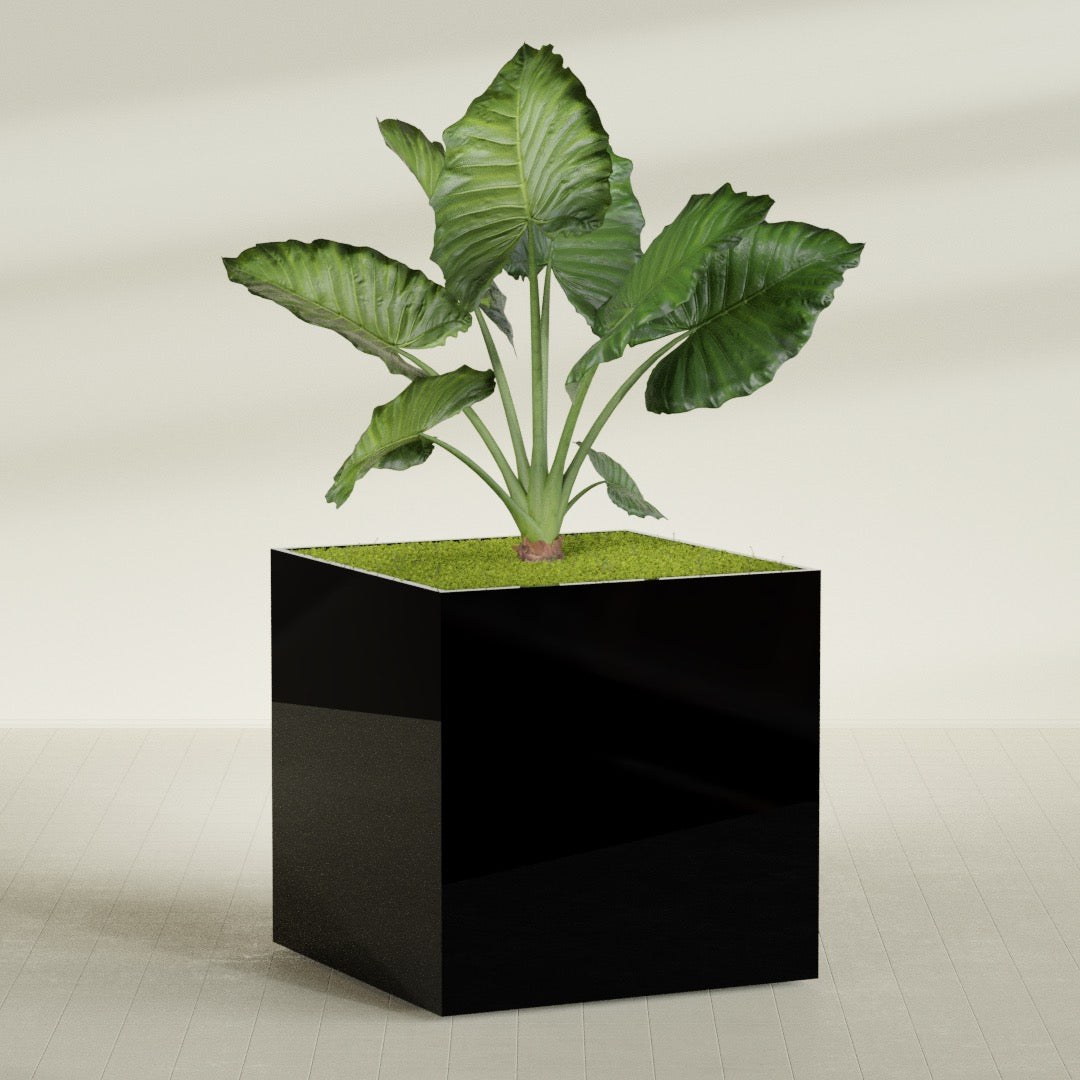 Montroy Extra Large Cube Square Fiberglass Planter - 60 in x 60 in x 60 in - Gloss Black - Gloss Black,60 in x 60 in x 60 in
