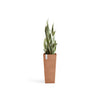 Rotterdam High Medium Square Planter - 12.6 in x 12.6 in x 27.5 in - Terracotta - Terracotta,12.5 in x 12.5 in x 27.5 in,Planter Only