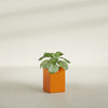 Miami Small Rectangle Fiberglass Planter - 12 in x 12 in x 18 in - Gloss Tangerine - Gloss Tangerine,12 in x 12 in x 18 in