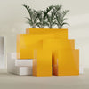 Darwin Large Tall Rectangle Fiberglass Planter - 24 in x 24 in x 42 in - Gloss Saffron - Gloss Saffron,24 in x 24 in x 42 in