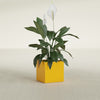 Montroy Small Cube Square Fiberglass Planter - 16 in x 16 in x 16 in - Gloss Saffron - Gloss Saffron,16 in x 16 in x 16 in