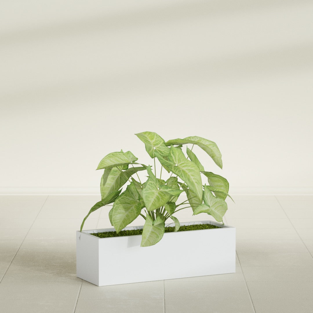 Reade Small Tabletop Rectangle Fiberglass Planter - 14 in x 5 in x 4.3 in - Gloss White - Gloss White,14 in x 5 in x 4.3 in