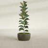 Casablanca Medium Round Low Bowl Fiberglass Planter - 20 in x 20 in x 10 in - Matte Bronze - Matte Bronze,20 in x 20 in x 10 in