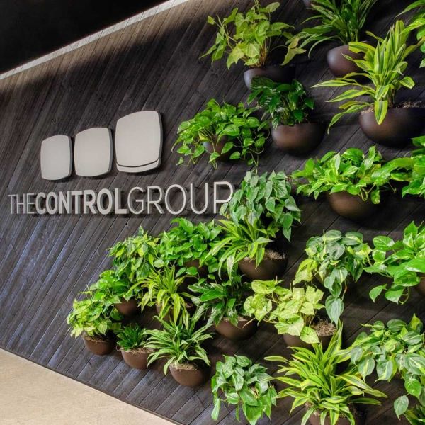 Walton - 12in x 7in x 6in