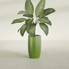 Lisbon Medium Round Fiberglass Planter - 14 in x 14 in x 25 in - Satin Green - Satin Green,14 in x 14 in x 25 in