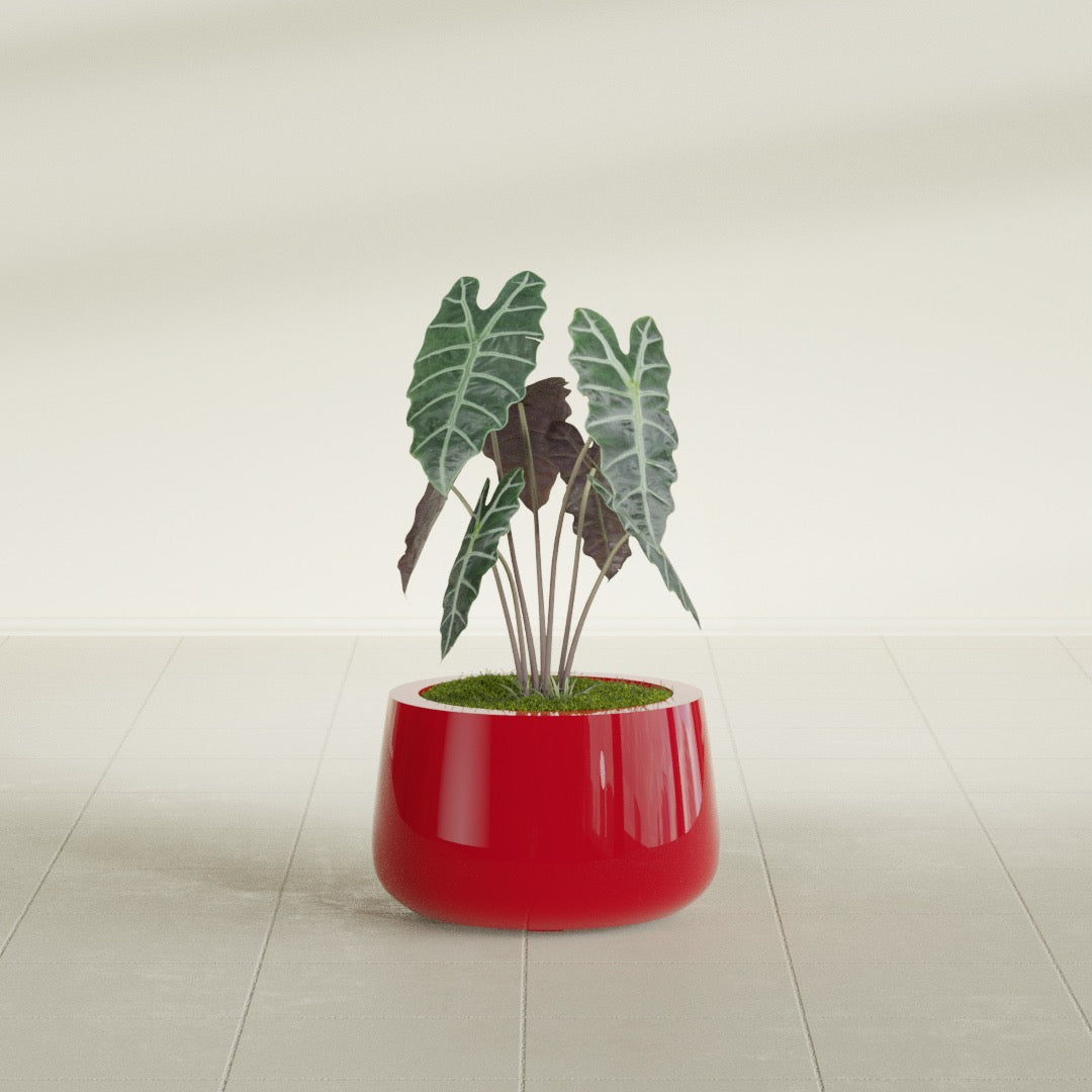 Short Hayden Small Round Fiberglass Planter - 12 in x 12 in x 7 in - Gloss Red - Gloss Red,12 in x 12 in x 7 in