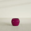 Fishbowl Small Round Fiberglass Planter - 16 in x 16 in x 14 in - Gloss Eggplant - Gloss Eggplant,16 in x 16 in x 14 in