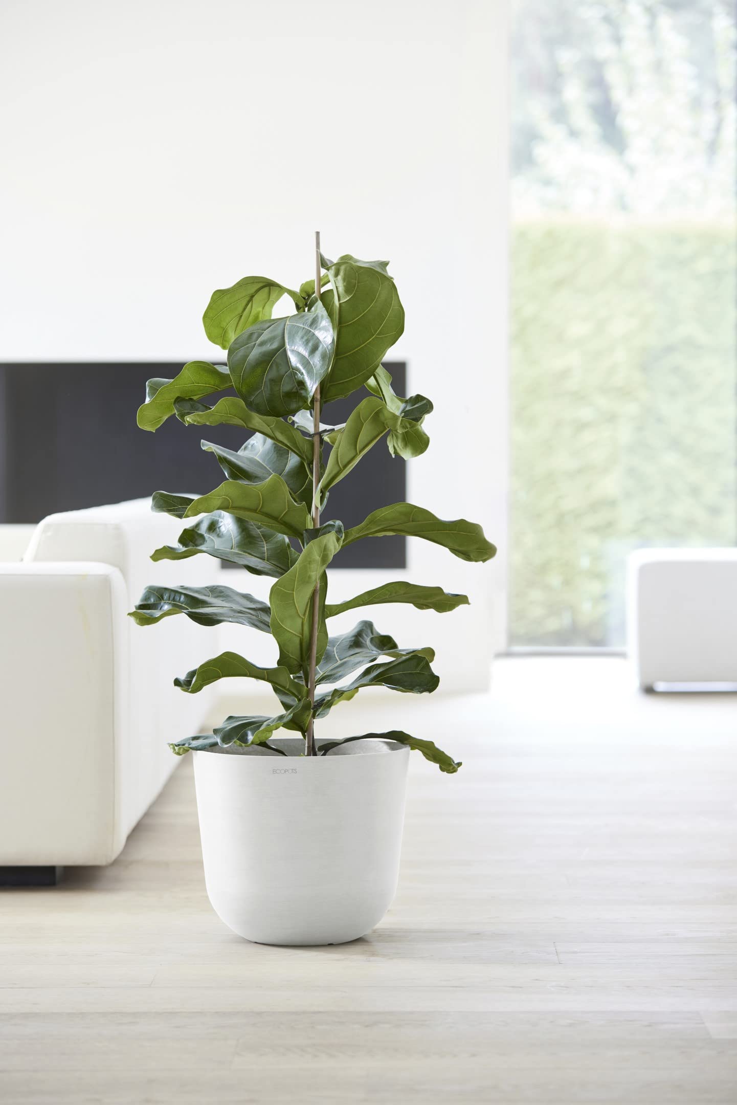 Oslo Small Round Planter - 13.8 in x 13.8 in x 12 in - Pure White - Pure White,13.75 in x 13.75 in x 12 in,Planter Only