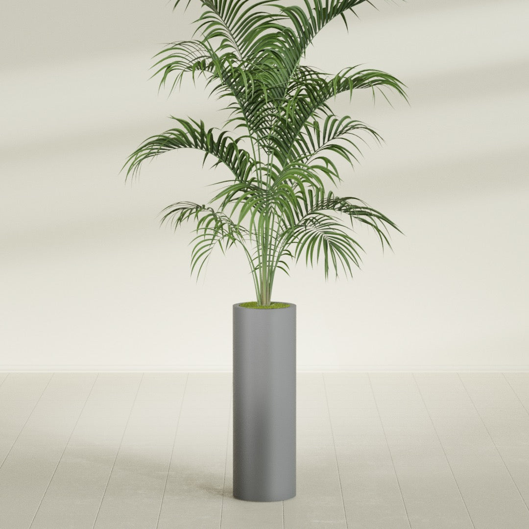Corry Large Tall Cylinder Fiberglass Planter - 10 in x 10 in x 30 in - Metallic Gunmetal - Metallic Gunmetal,10 in x 10 in x 30 in