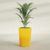 Tegel Large Round Fiberglass Planter - 22 in x 22 in x 30 in - Gloss Saffron - Gloss Saffron,22 in x 22 in x 30 in