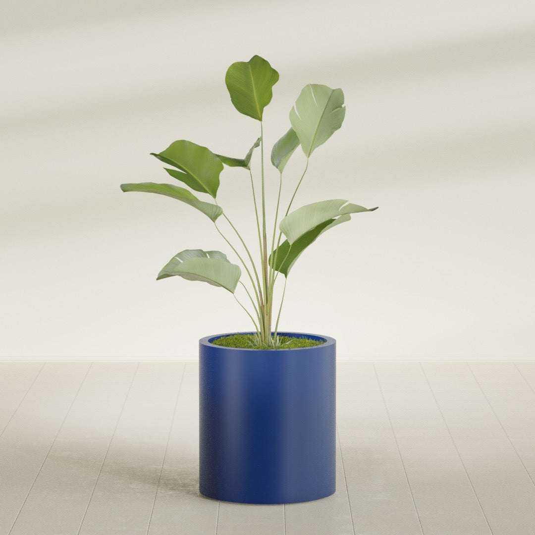 Rio Grande Medium Round Fiberglass Planter - 18 in x 18 in x 20 in - Matte Cobalt Blue - Matte Cobalt Blue,18 in x 18 in x 20 in