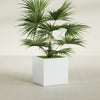 Montroy Medium Cube Square Fiberglass Planter - 28 in x 28 in x 28 in - Matte White - Matte White,28 in x 28 in x 28 in