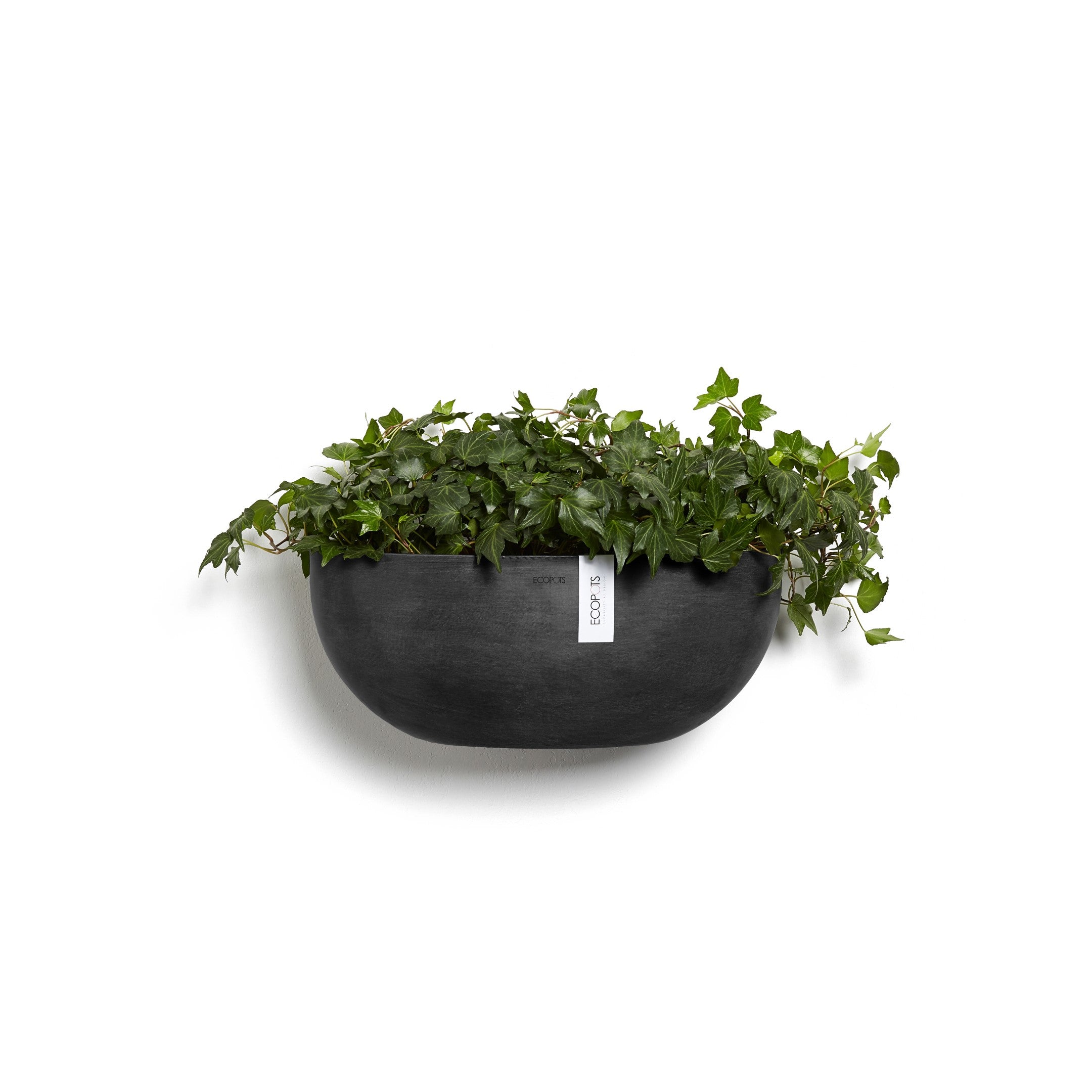 Sofia Wall Small Conical Wall Planter - 16.5 in x 10 in x 7 in - Dark Grey - Dark Grey,16.5 in x 16.5 in x 7 in