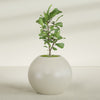 Globe Large Sphere Fiberglass Planter - 36 in x 36 in x 30 in - Satin Beige - Satin Beige,36 in x 36 in x 30 in