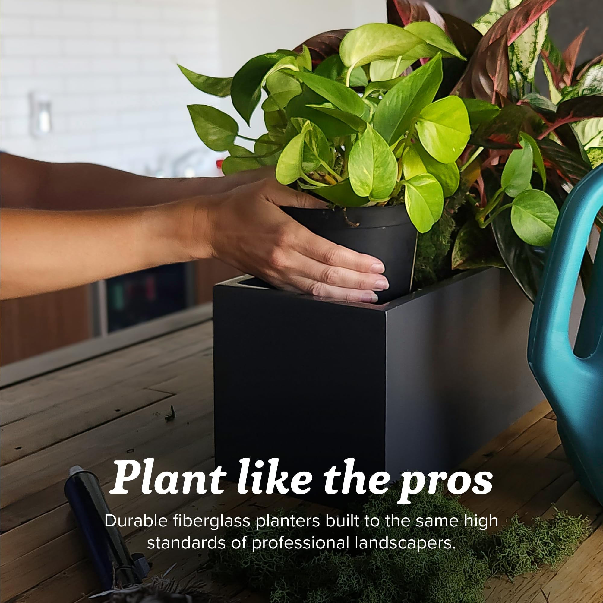 Wannsee Extra Large Round Fiberglass Planter - 50 in x 50 in x 44 in - Satin Green - Satin Green,50 in x 50 in x 44 in