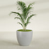 Wannsee Large Round Fiberglass Planter - 39 in x 39 in x 34 in - Metallic Silver - Metallic Silver,39 in x 39 in x 34 in
