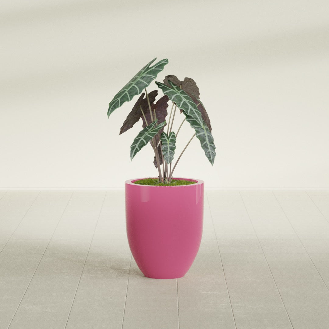 Valencia Small Round Fiberglass Planter - 15 in x 15 in x 18 in - Gloss Pink Violet - Gloss Pink Violet,15 in x 15 in x 18 in