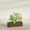 Reade Small Tabletop Rectangle Fiberglass Planter - 14 in x 5 in x 4.3 in - Metallic Bronze - Metallic Bronze,14 in x 5 in x 4.3 in