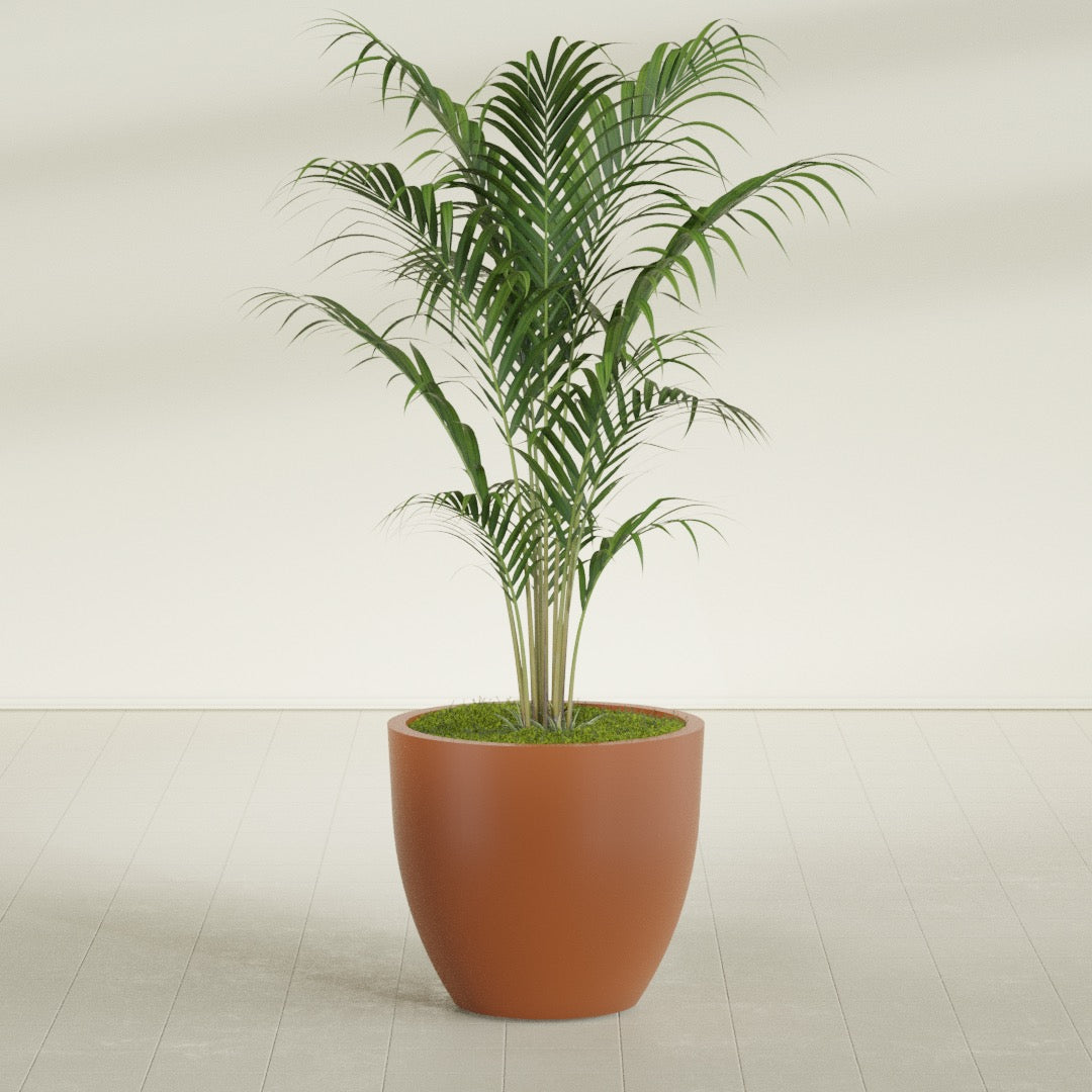 Wannsee Large Round Fiberglass Planter - 33 in x 33 in x 29 in - Matte Terracotta - Matte Terracotta,33 in x 33 in x 29 in