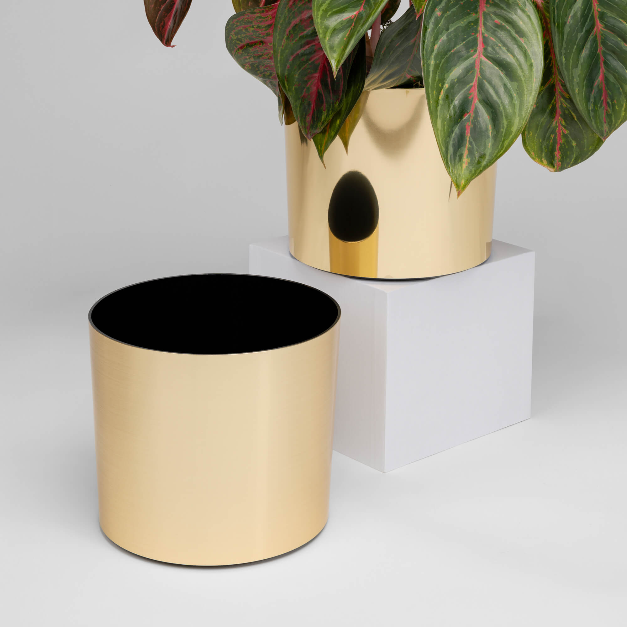 Tabletop Cylinder - 7in diam. x 6in