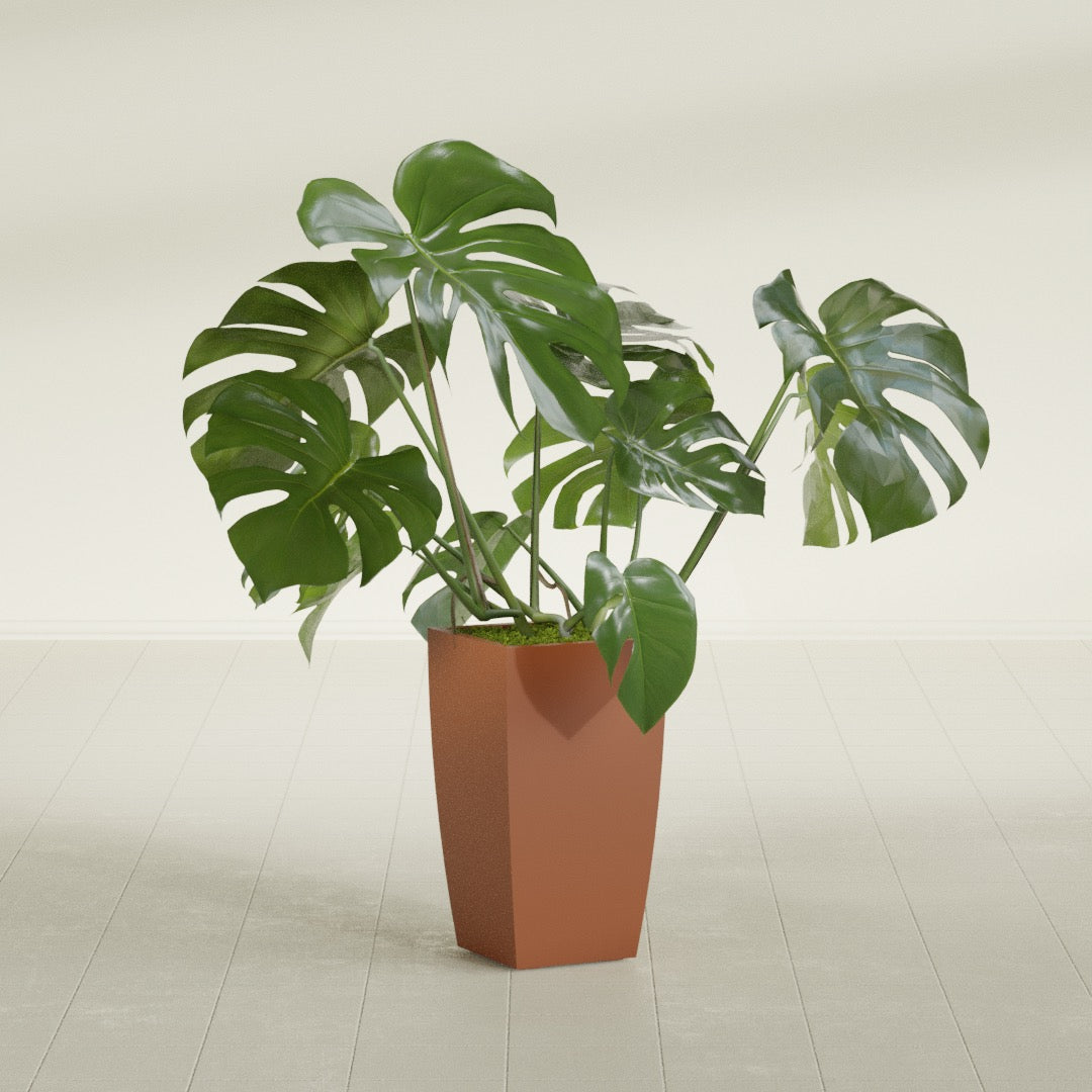 Toulan Medium Tall Tapered Square Fiberglass Planter - 12 in x 12 in x 22 in - Matte Terracotta - Matte Terracotta,12 in x 12 in x 22 in