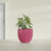 Santa Barbara Medium Round Fiberglass Planter - 23 in x 23 in x 20.3 in - Gloss Pink Violet - Gloss Pink Violet,23 in x 23 in x 20 in