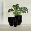 Alicante Small Round Fiberglass Planter - 15 in x 15 in x 21 in - Gloss Black - Gloss Black,15 in x 15 in x 21 in