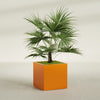 Montroy Large Cube Square Fiberglass Planter - 32 in x 32 in x 32 in - Gloss Tangerine - Gloss Tangerine,32 in x 32 in x 32 in