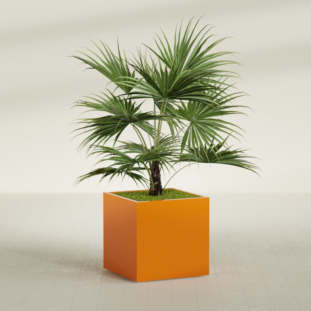 Montroy Large Cube Square Fiberglass Planter - 32 in x 32 in x 32 in - Gloss Tangerine - Gloss Tangerine,32 in x 32 in x 32 in