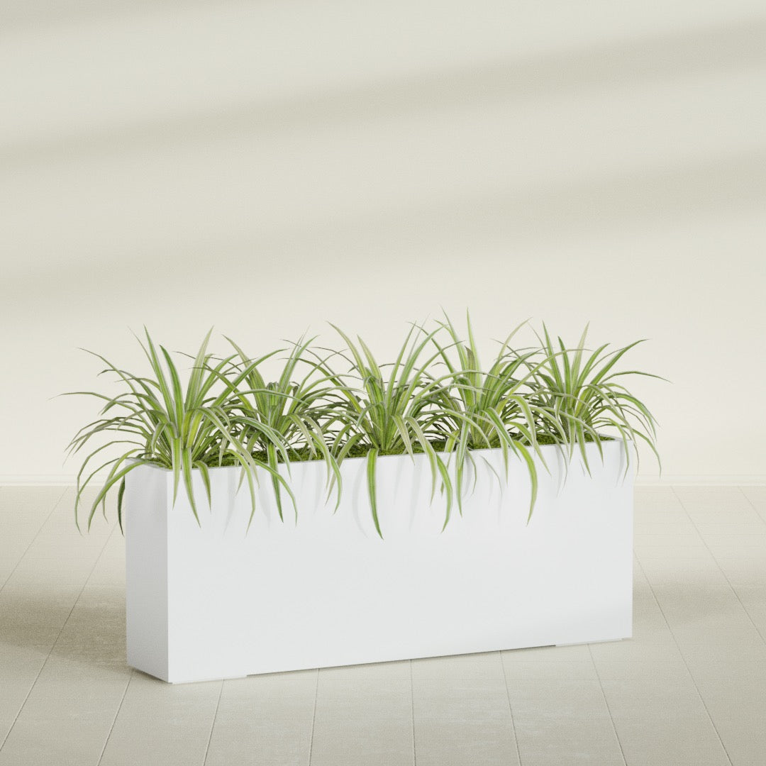 Hollywood Extra Large Narrow Rectangle Fiberglass Planter - 60 in x 12 in x 24 in - Gloss White - Gloss White,60 in x 12 in x 24 in